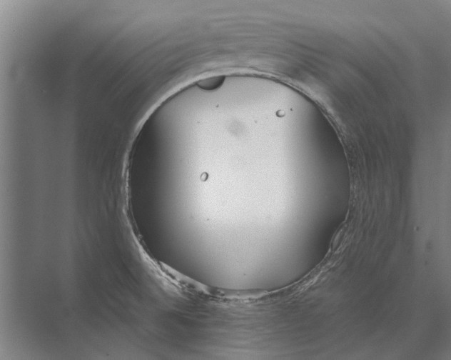 X0000071951524200608041540