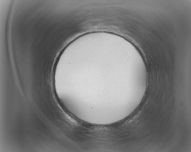 X0000071951525200608041540