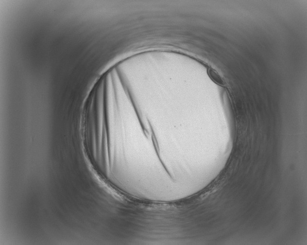 X0000071951526200608041540