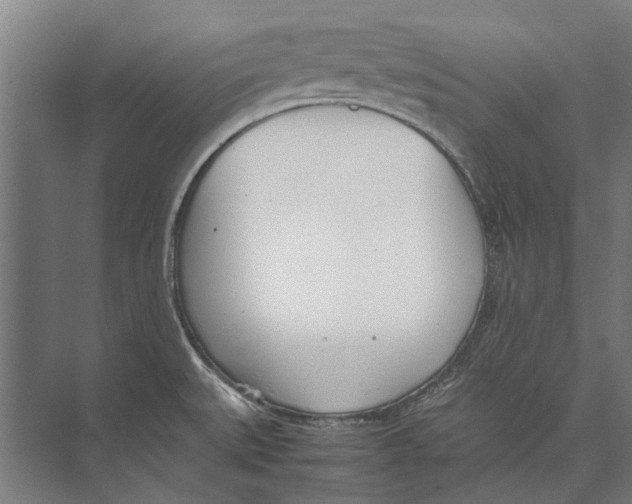 X0000071951527200608041540