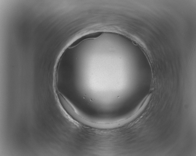 X0000071951528200608041540