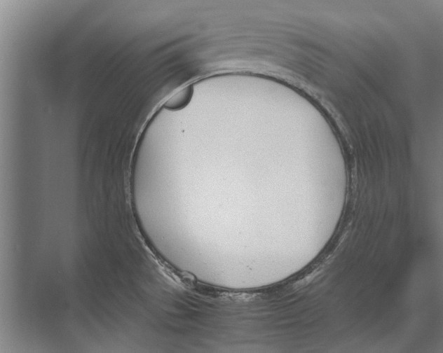 X0000071951529200608041540