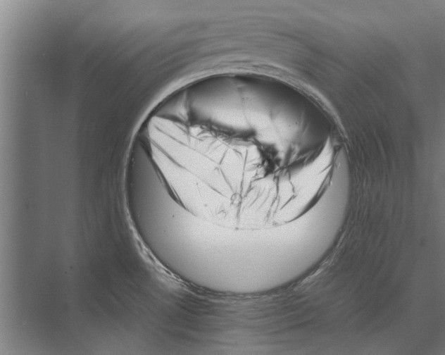 X0000071951530200608041540