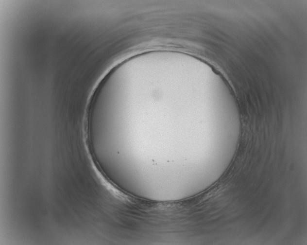 X0000071951531200608041540