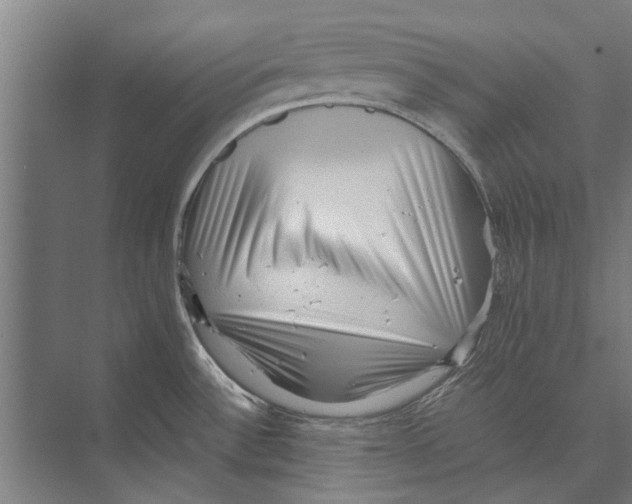 X0000071951532200608041540