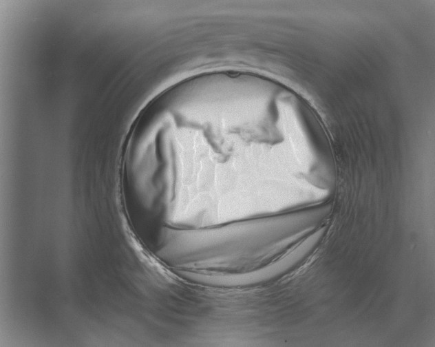 X0000071951534200608041540