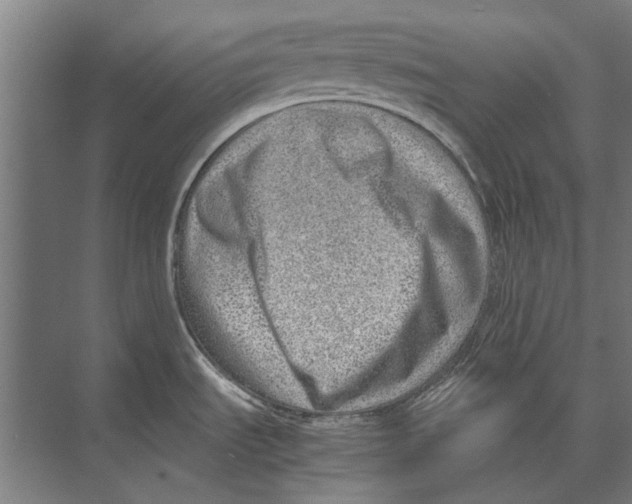 X0000071951535200608041540