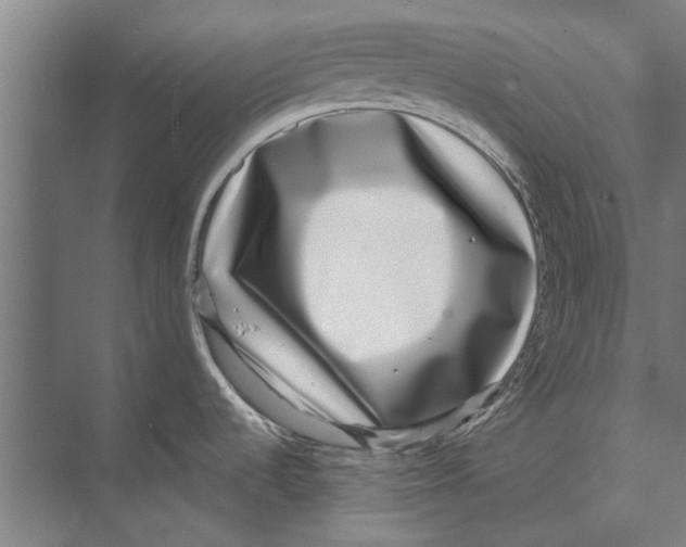 X0000071951536200608041540