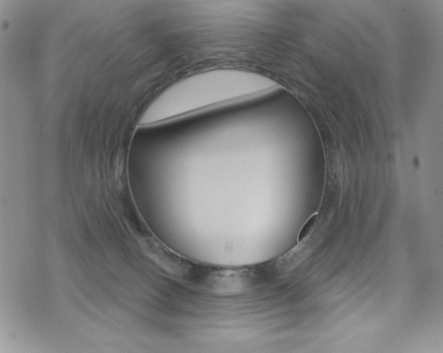 X0000071960082200607071023