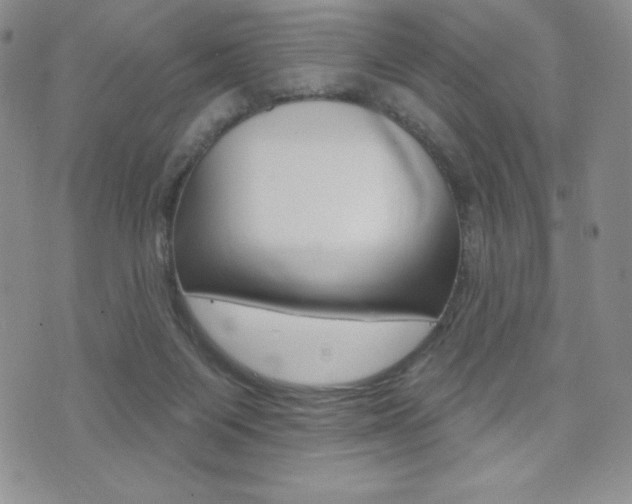 X0000071960119200607071022
