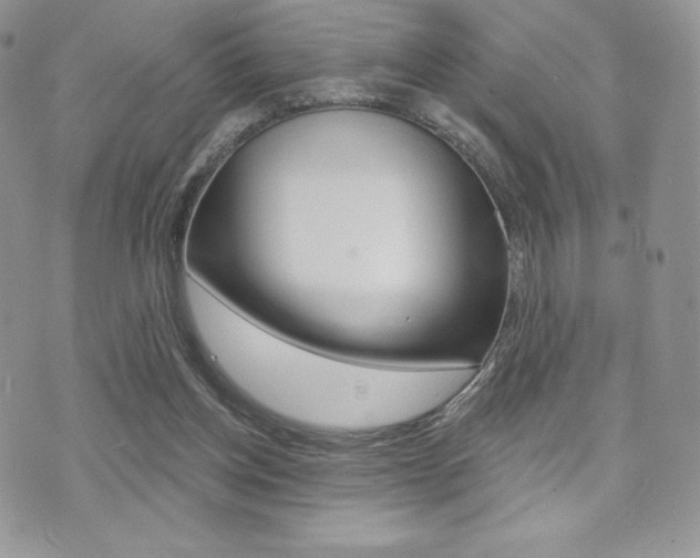 X0000071960158200607071021