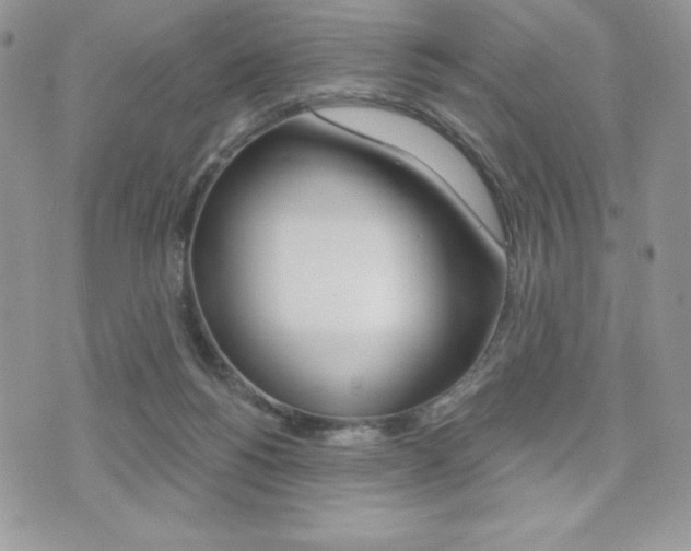 X0000071960168200607071021