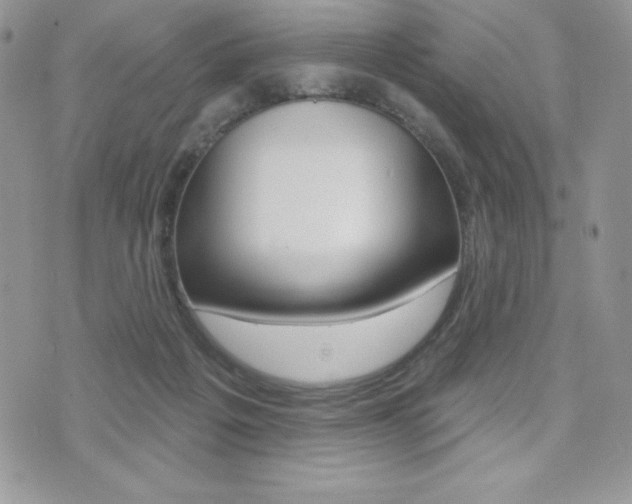 X0000071960217200607071021