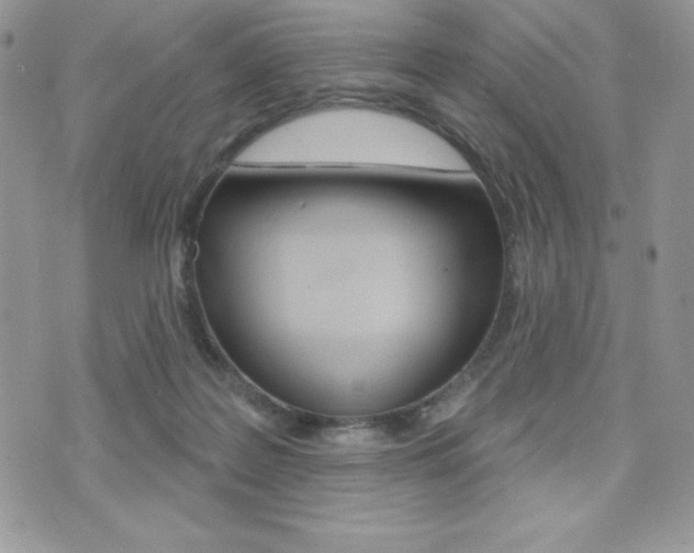 X0000071960219200607071021