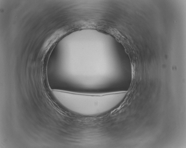 X0000071960291200607071020