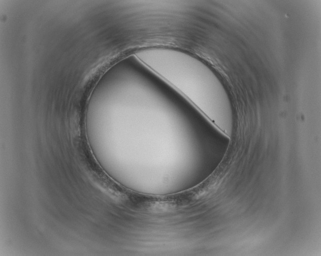 X0000071960303200607071019