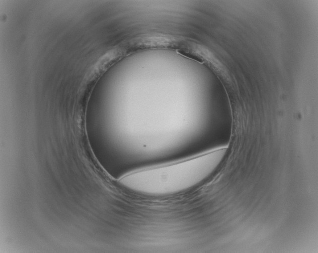 X0000071960309200607071019