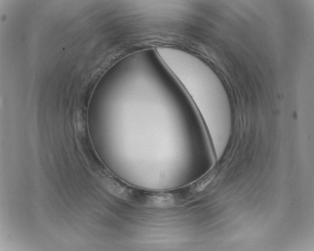 X0000071960317200607071019