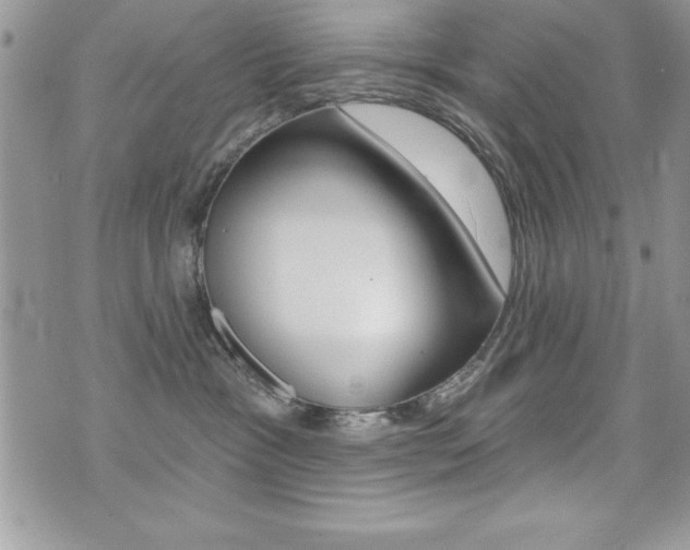 X0000071960333200607071019