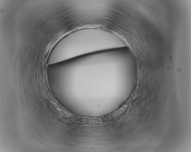 X0000071960337200607071018