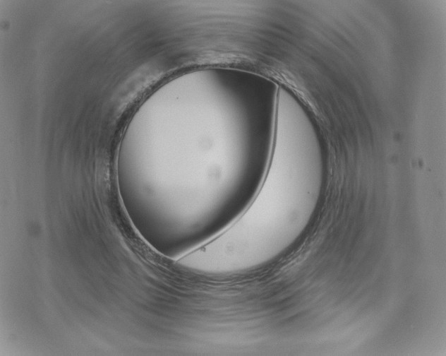 X0000071960348200607071018