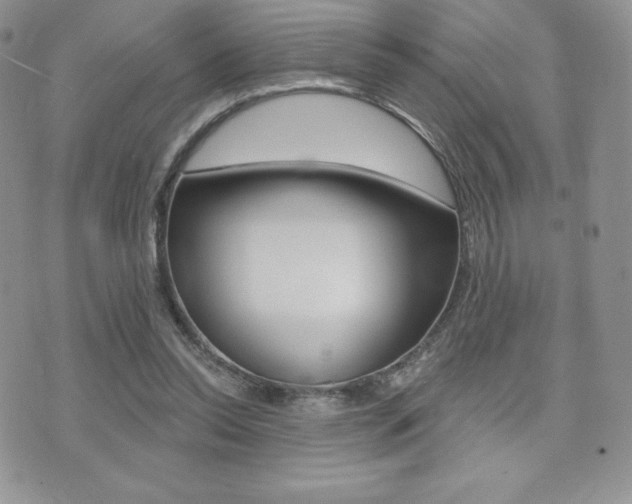 X0000071960350200607071018