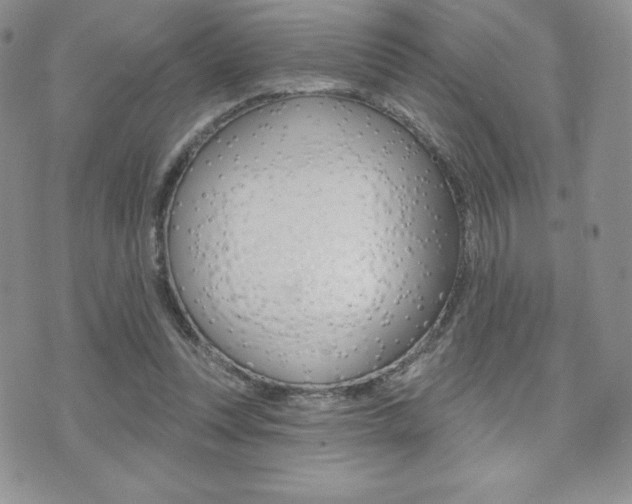 X0000071960351200607071018