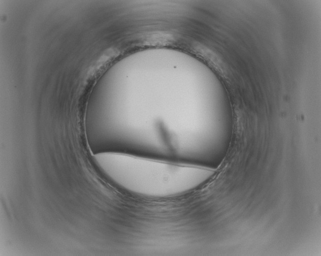 X0000071960354200607071018