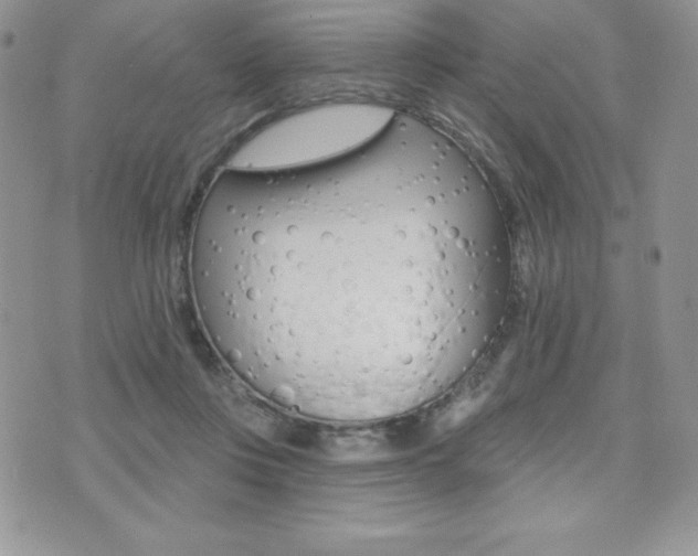 X0000071960359200607071018