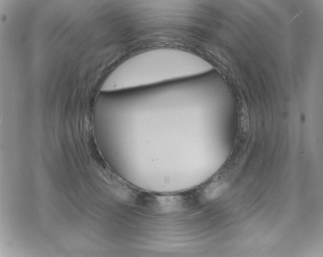 X0000071960371200607071019