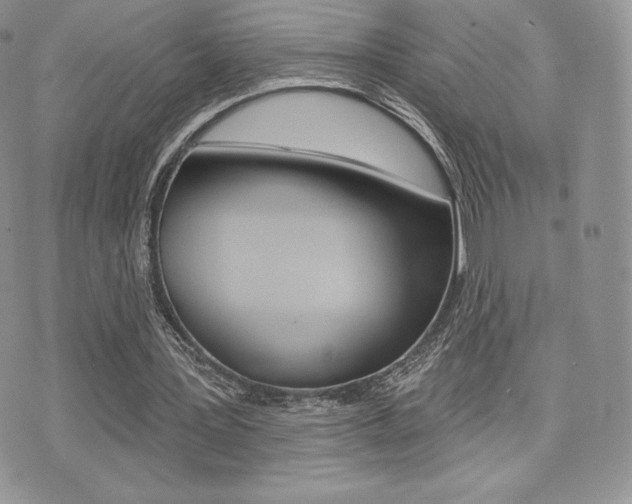 X0000071960387200607071018