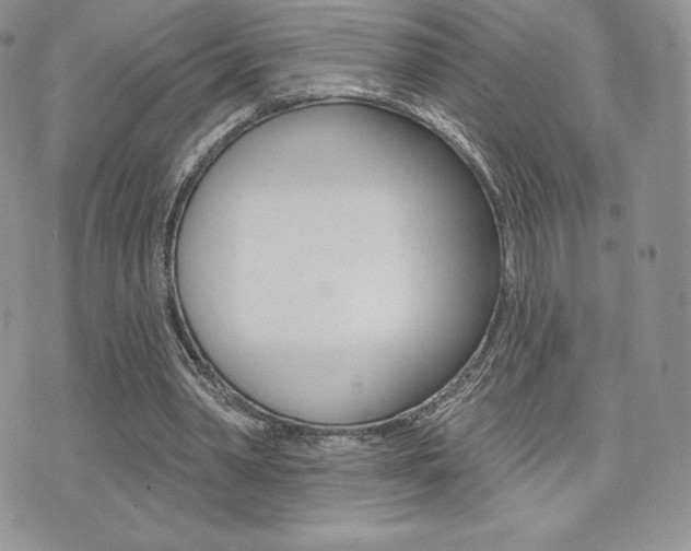 X0000071960390200607071018