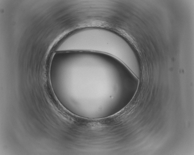 X0000071960392200607071018