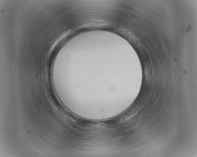 X0000071960396200607071018