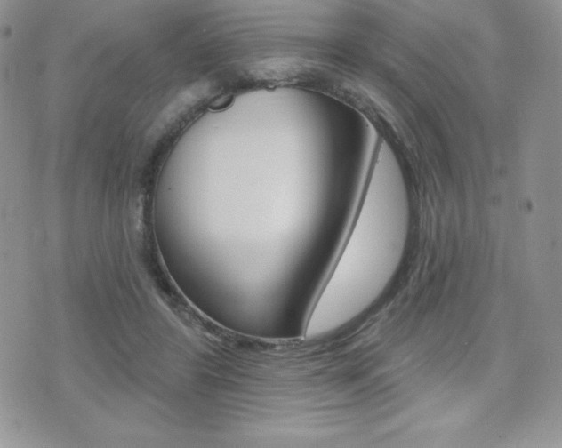 X0000071960404200607071018