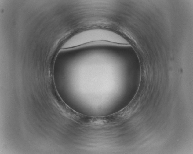 X0000071960407200607071018