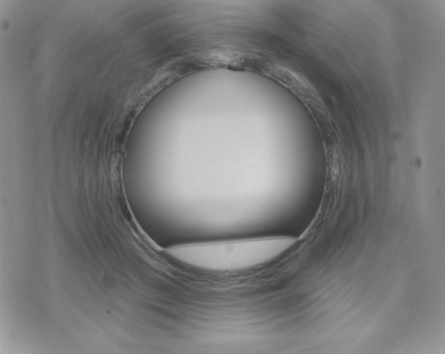X0000071960409200607071018