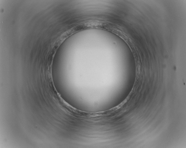 X0000071960411200607071018