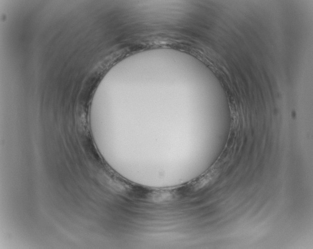 X0000071960418200607071017