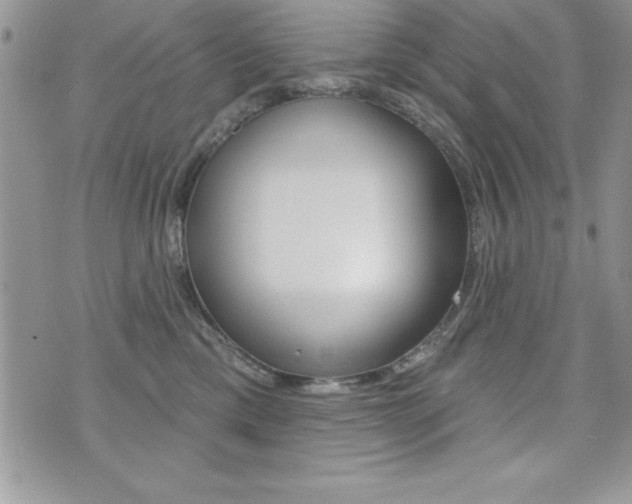 X0000071960425200607071017