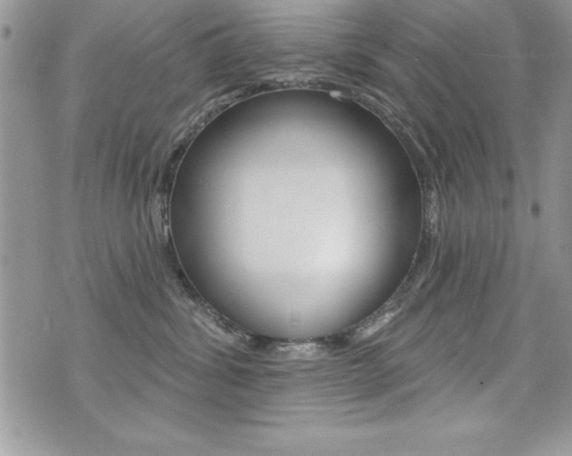 X0000071960428200607071017