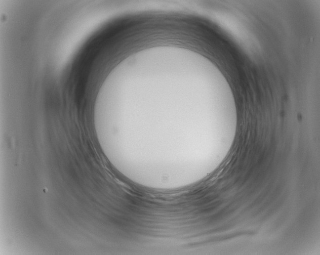 X0000071960431200607071017