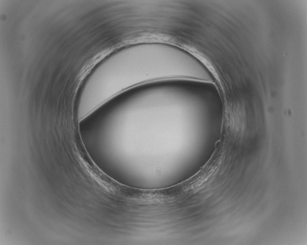 X0000071960437200607071016