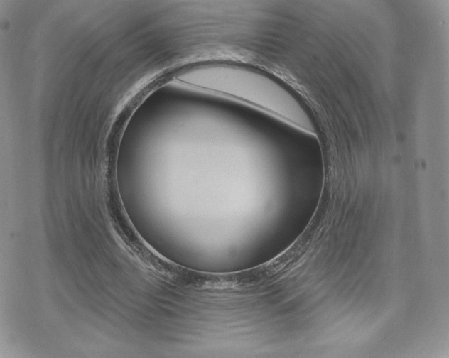 X0000071960440200607071017