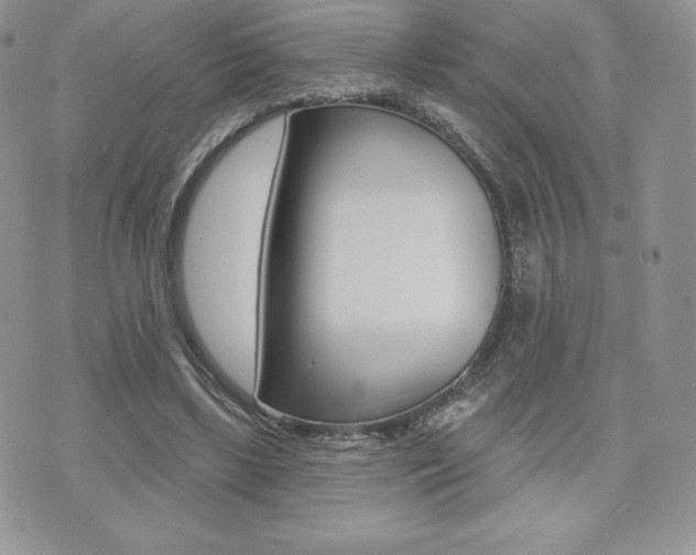 X0000071960443200607071017