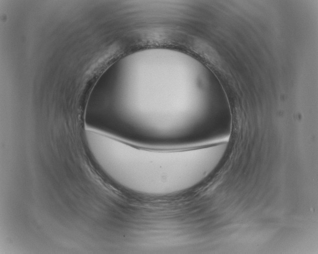 X0000071960450200607071017