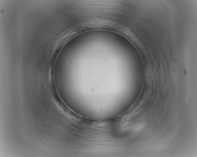 X0000071960454200607071017