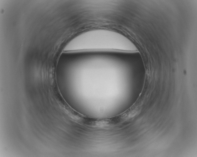 X0000071960462200607071017