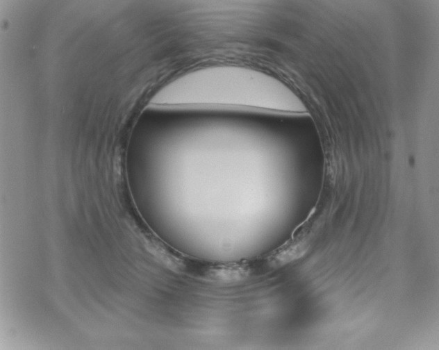 X0000071960466200607071017