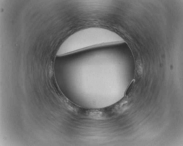 X0000071960471200607071017